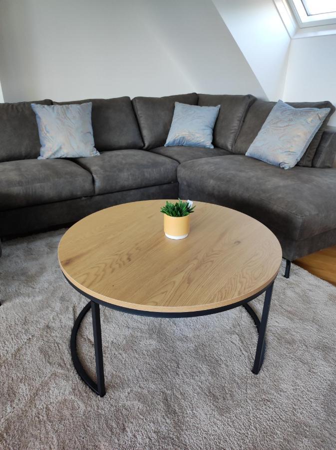 Luxurioeses Penthouse Mit Blick Auf Die Uno-City Und Dem Kaiserwasser. 3Schlafzimmer, 2 Baeder, Privat Lift Ins Apartment Wenen Buitenkant foto