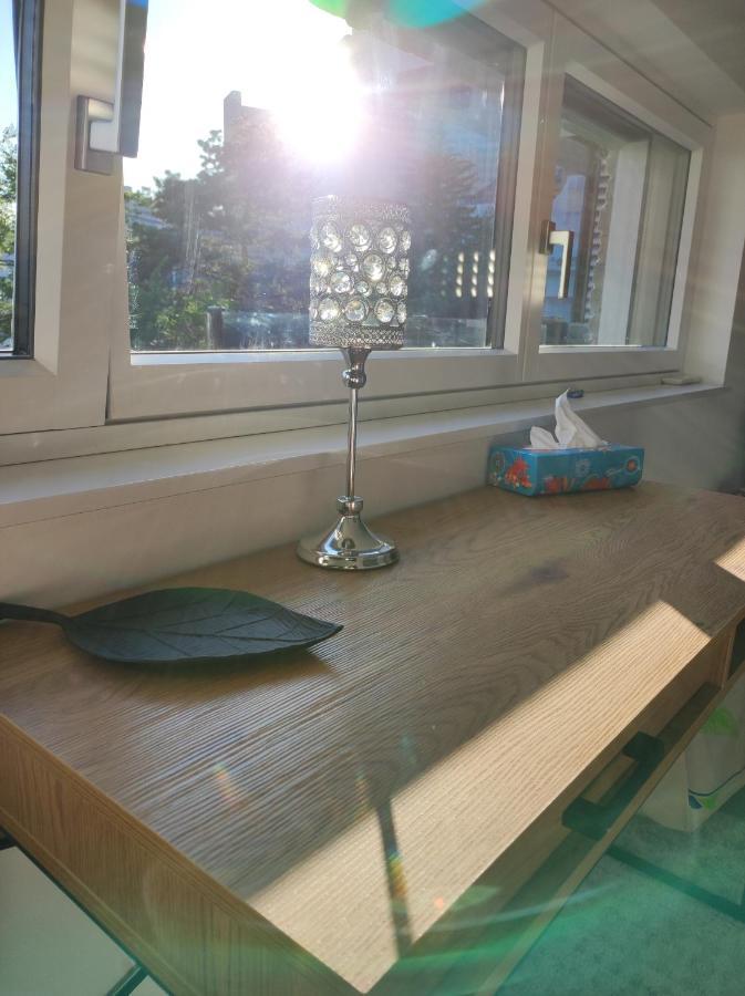 Luxurioeses Penthouse Mit Blick Auf Die Uno-City Und Dem Kaiserwasser. 3Schlafzimmer, 2 Baeder, Privat Lift Ins Apartment Wenen Buitenkant foto