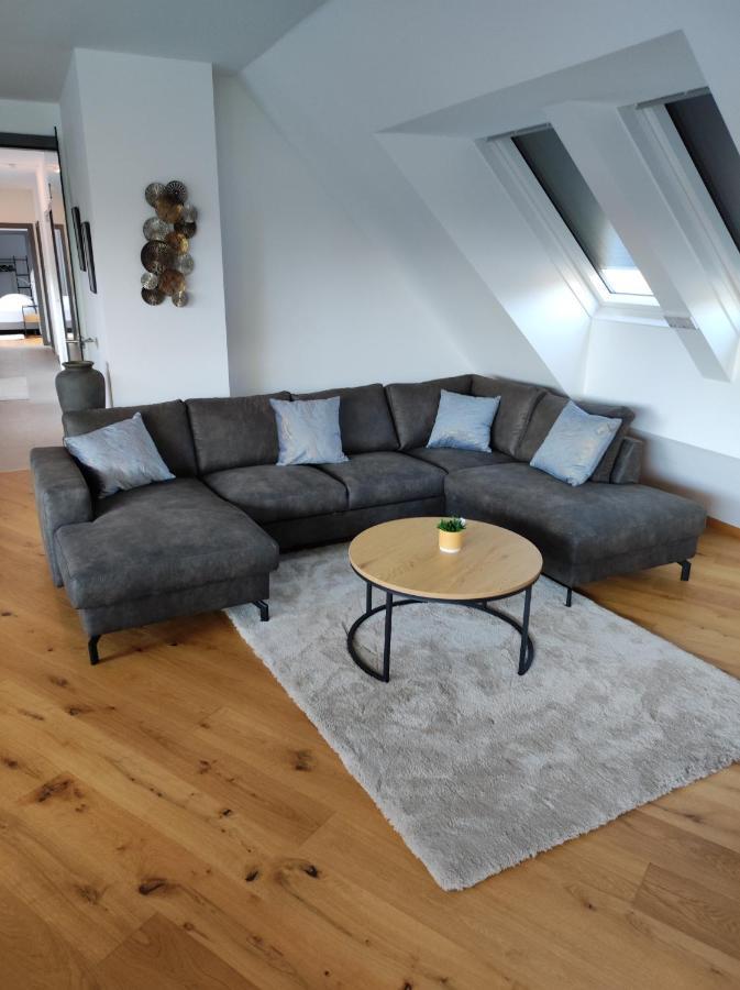 Luxurioeses Penthouse Mit Blick Auf Die Uno-City Und Dem Kaiserwasser. 3Schlafzimmer, 2 Baeder, Privat Lift Ins Apartment Wenen Buitenkant foto